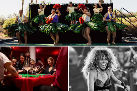 An appraisal for Tina Turner. Also: the strategic fashioning of Casey DeSantis and a flight attendant’s etiquette rules for air travel.