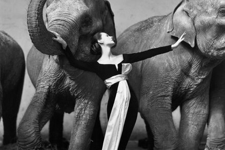 At Gagosian, Marian Anderson, Marilyn Monroe, Dovima and a cast of showstoppers.