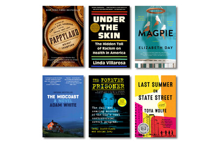 Selected reading from the Book Review, including “Magpie by Elizabeth Day, Linda Villarosa’s “Under the Skin” and more.