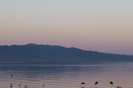 Raha Naddaf, one of the magazine’s story editors, explains the decision to zoom in on the Golden State.