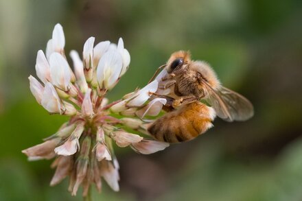 Feeling stuck on today’s puzzle? We can help.