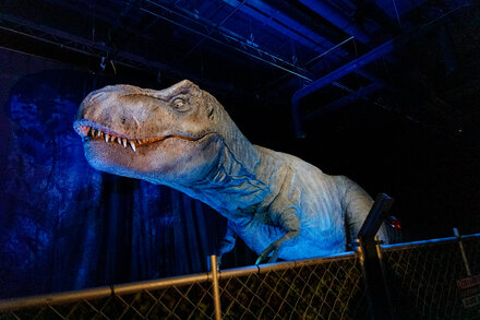 At the show in Atlanta, based on the series of dinosaur films, a man was caught on video on top of one of the beasts, ripping off its skin. He was later arrested.