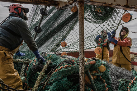 xxireland-fishing-fader