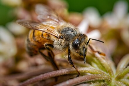 Feeling stuck on today’s puzzle? We can help.