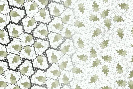Earlier this spring, tiling aficionados thought maybe they’d found the shape of their dreams. Now they’re certain.