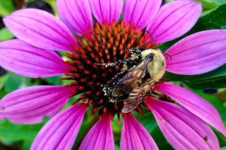 Feeling stuck on today’s puzzle? We can help.