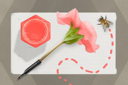 Entries for the week of May 29, 2023.