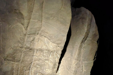 Homo naledi, despite having tiny brains, may have lit fires and decorated walls around the graves of their dead, according to controversial new research.