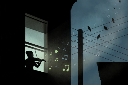 Scientists are finding more evidence that birdsong parallels human-made music.
