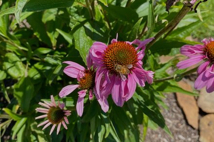 Feeling stuck on today’s puzzle? We can help.