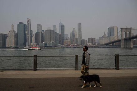 Birds and pugs are particularly at risk of complications from poor-quality air.