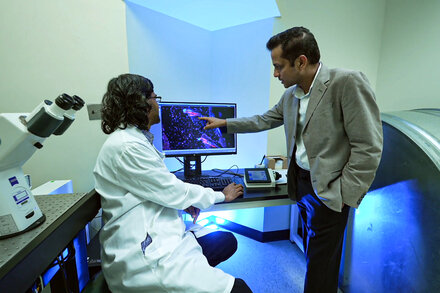 Taurine helped stave off death in laboratory animals, but researchers cautioned that the supplement is not a magic elixir.