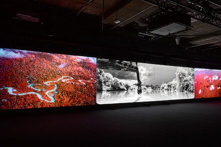 The artist wanted to photograph orchids but ended up making “Broken Spectre,” a film about the destruction of the rainforest — his most powerful work yet.