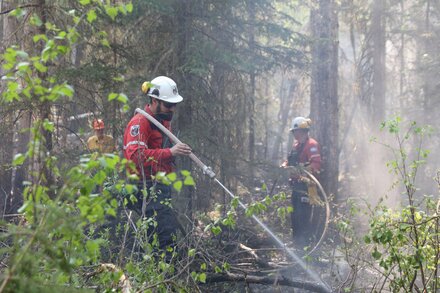 Tens of thousands of people have been displaced by wildfires burning across Canada.