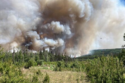 With health warnings and some officials calling for the wearing of masks, the wildfires have brought back bad memories of the pandemic.