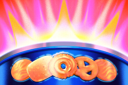 Ubiquitous in immigrant households, the cookie tin might be a more apt metaphor for our journeys than the melting pot.