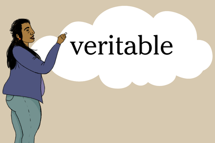 This word has appeared in 58 articles on NYTimes.com in the past year. Can you use it in a sentence?