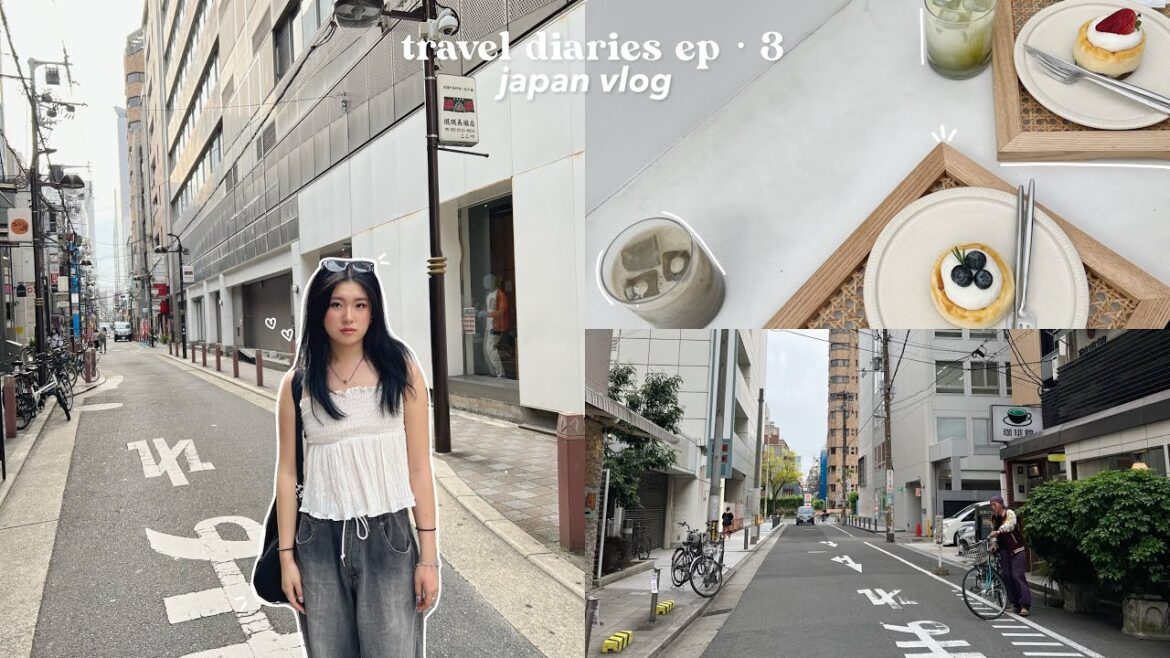 Japan Blog : What you eat in Osaka day trips in Kyoto tour cafes make up for makeup slinting