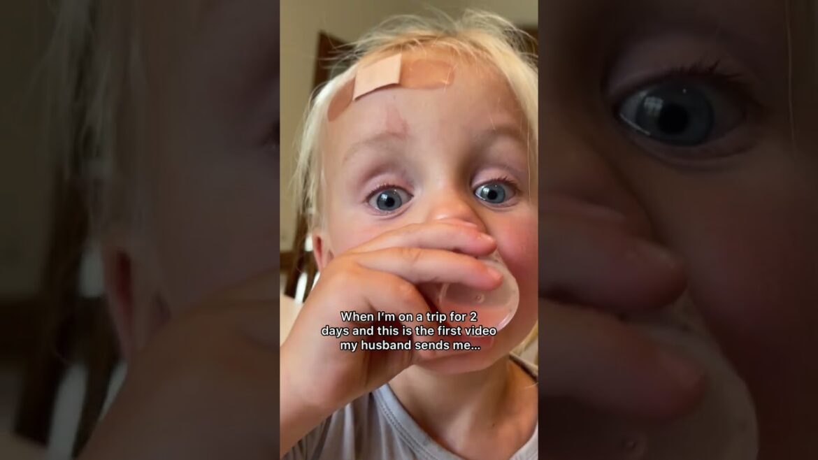 This is the first video sent by my husband during a two -day trip! ? #shorts