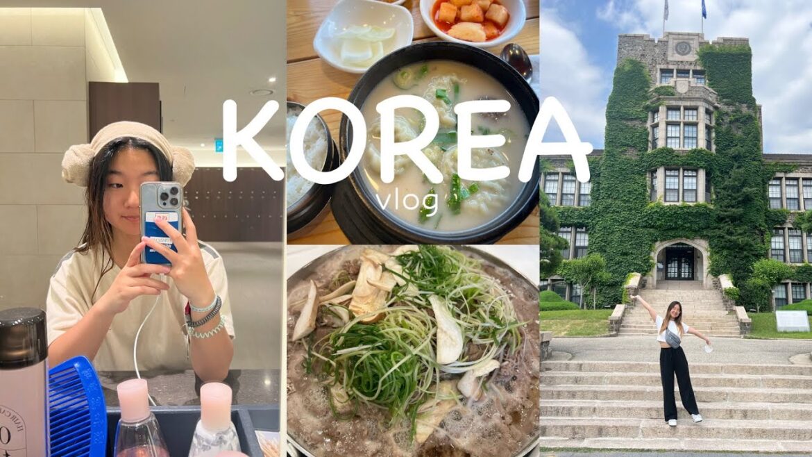 I went on a day trip to Korea!