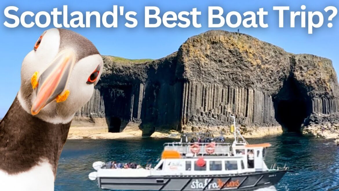 It’s too close to Puffin! An extraordinary boat trip to the Scottish Islands (Staffa Island and Lunga)!
