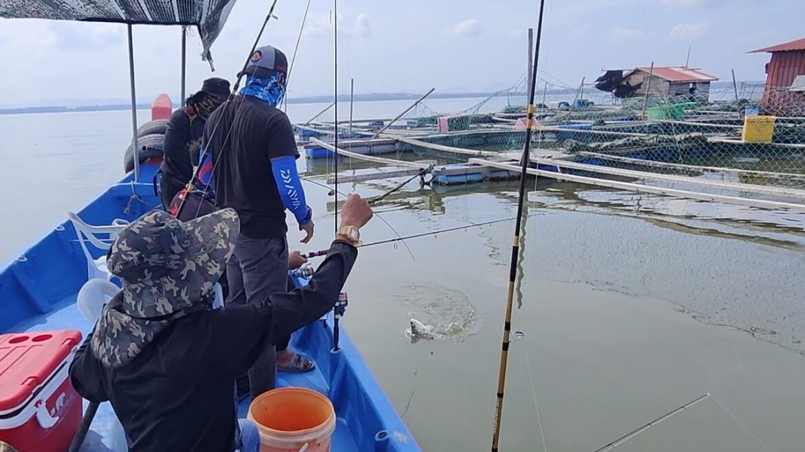 17/06/2023 I’m excited about fishing trips on the Penang Sankar River!