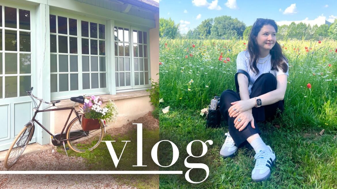 VLOG  Tools  Chloran’s immersive trip