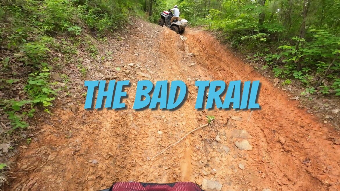 Visit Maxpine again … Canham Outlander Kawasaki Blue Force and Codiac 700 are back!