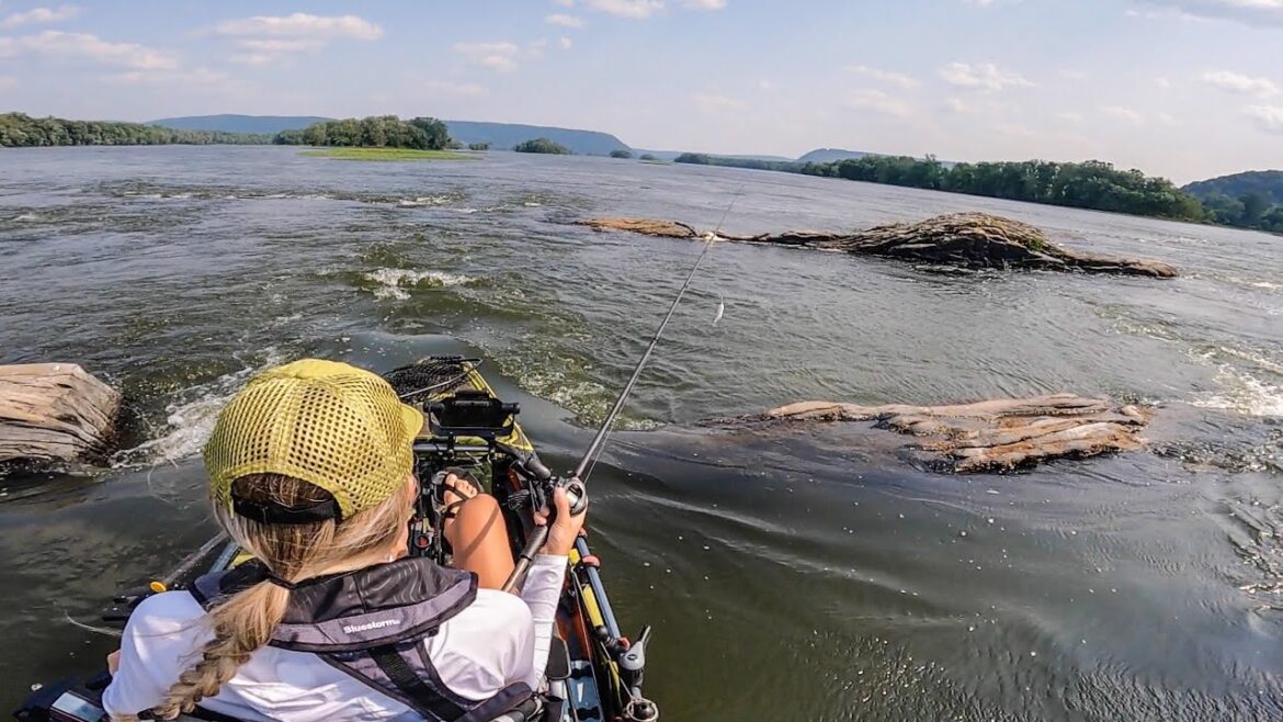 I love fishing on the Sasuke Hana River! (North road trip)