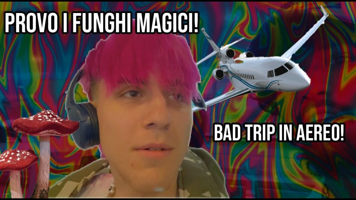 Provo I Funghi Magici Per La Prima Volta! Bad Trip