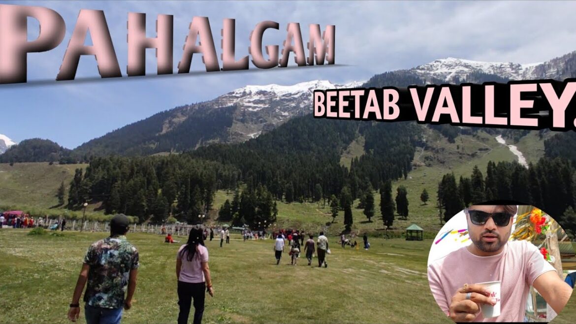 Beautiful journey to Pahargam, Betab Valley and Acchabal: ASRJAMMUVLOGS8603