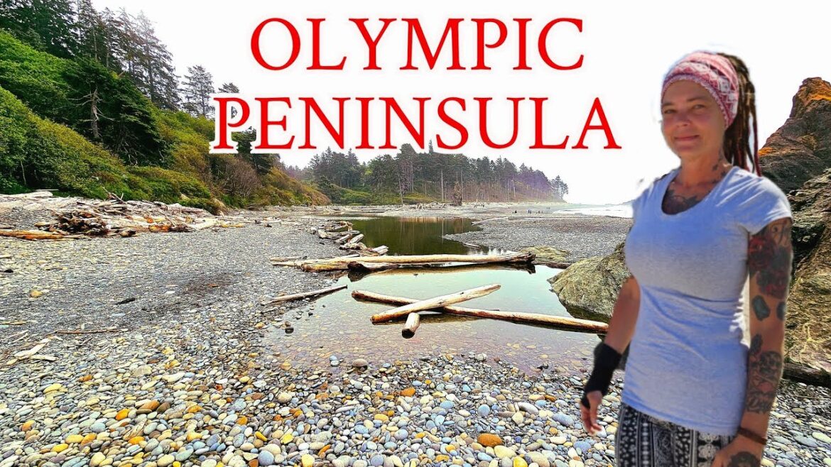 Solo camp trip to the Olympic Peninsula | Traveling in the United States