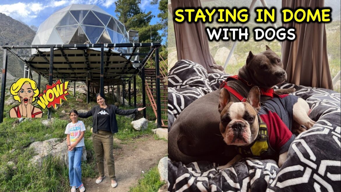 Stay at the dome with the dog  Tit Culpanache Eco World Episode 7 | Spiti Trip