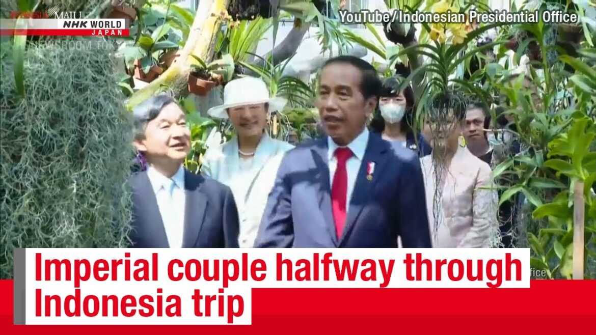 Excitement during the Japanese imperial couple Indonesia’s trip! -NHK WORLD-JAPAN NEWS