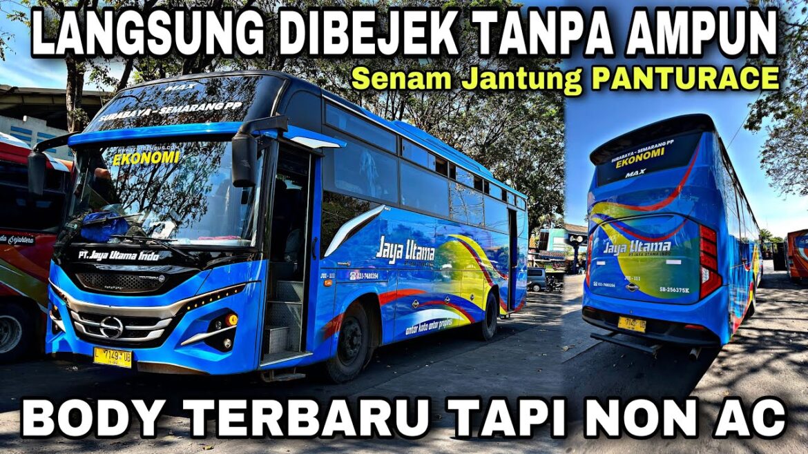 DIBEJEK TANPA AMPUN  Senam Jantung Naik Bus Non AC Body Body Terbaru  | TRIP JAYA UTAMA L 7149 UB