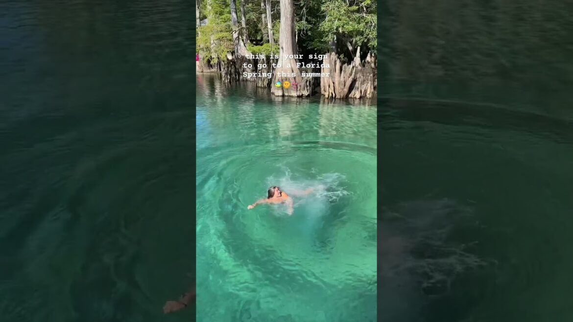 Let’s add this to the summer vacation list! 🌞🐠#Florida Life#Summerbibs#Travel