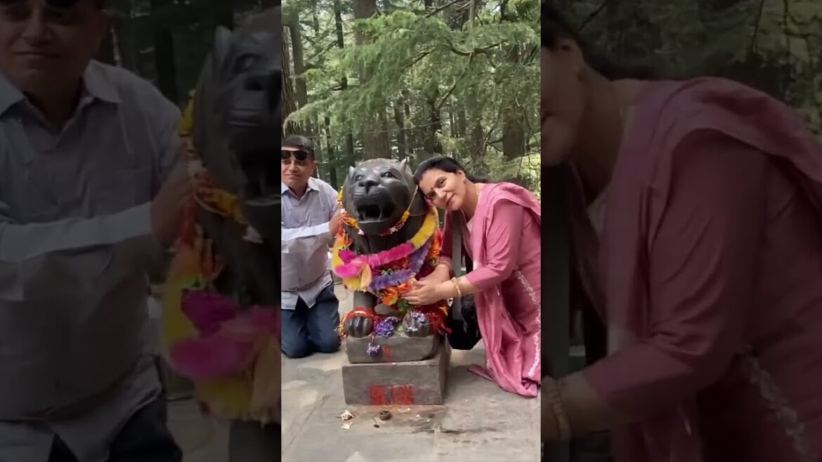 YEH JO WAQT HAI NA  | Family Travel  | Couples target | Shubnandu #shorts