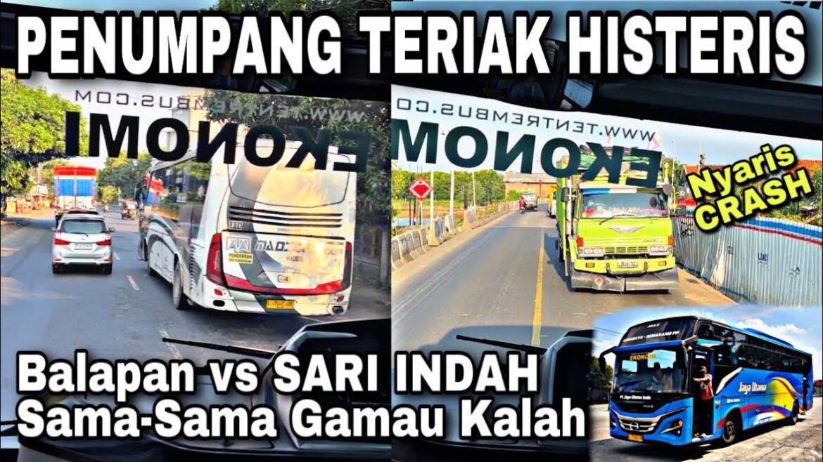 Penumpang TER1AK HIST3RIS  Balapan vs Sari Indah Gamau Kalah  | TRIP JAYA UTAMA L 7149 UB