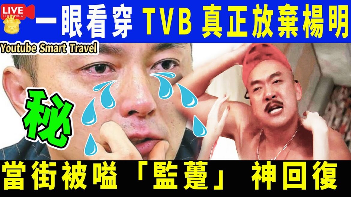 SMART TRAVEL 娱乐 娱乐 ｜ ｜ ｜ SLR #TVB genuine abandonment#Yangmei? Confidentiality