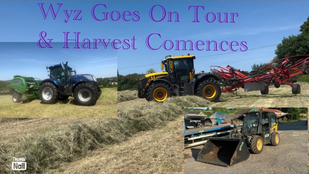 A new bucket starts a Wise Road Trip and Baying. Episode 273