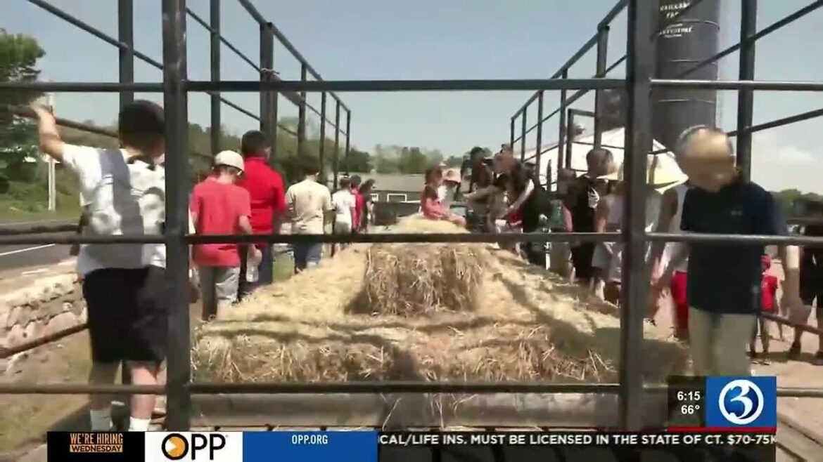 Waterbarry local interview! Record of impressive field trips