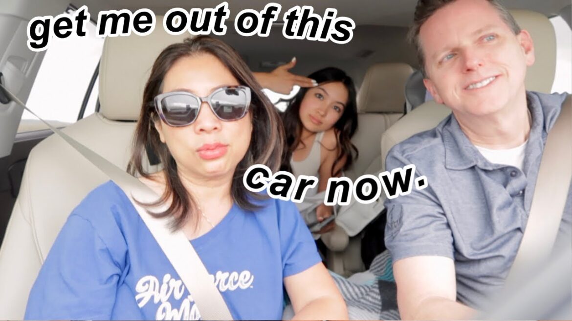 14 -hour road trip with family*Pure chaos*