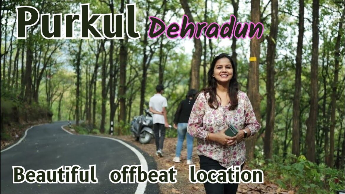 Pulcaldeladun: The perfect resort for a beautiful jungle family trip close to the river