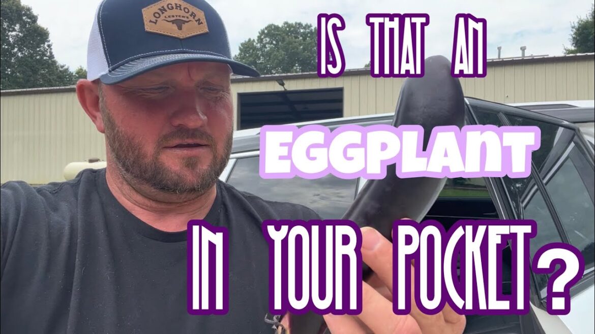 To the road trip with a specialty eggplant! The excitement doesn’t stop!