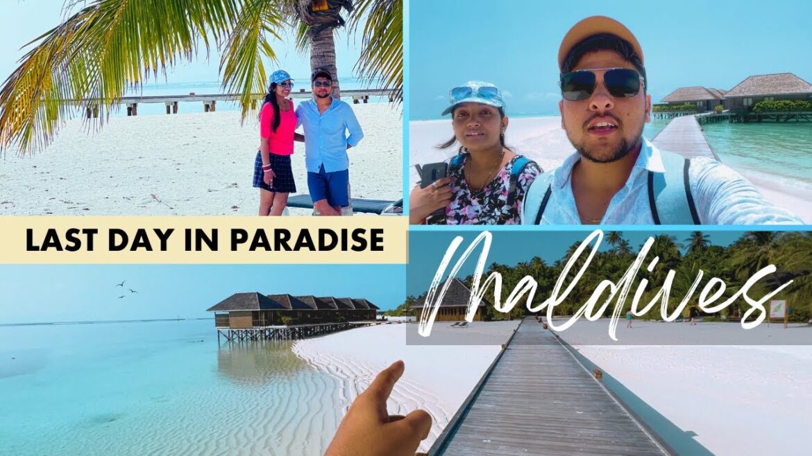 Honeymoon travel from Maldives to India 🏝 | Abhishek Kodan