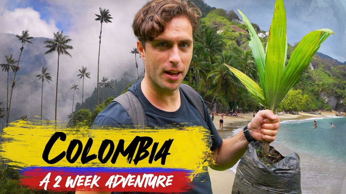 Colombia 🇨🇴 2 weeks adventure | Episode 2: Salent, Cocola, Tylona, ​​Cartagenna