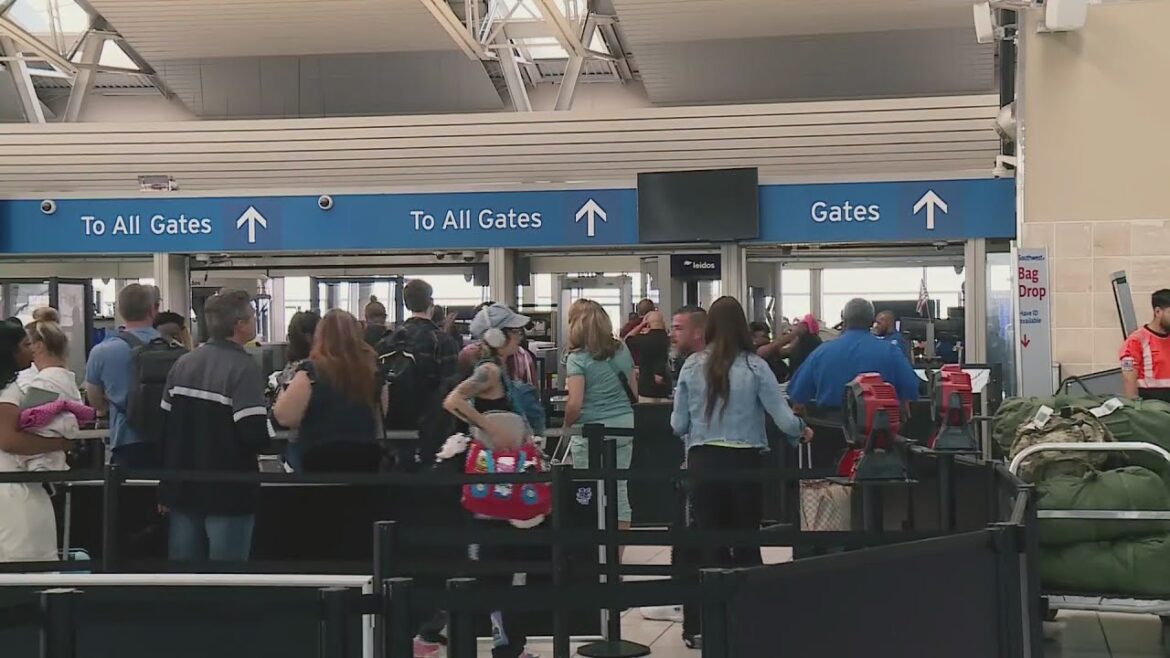 Summer production! At the peak of sightseeing trips!