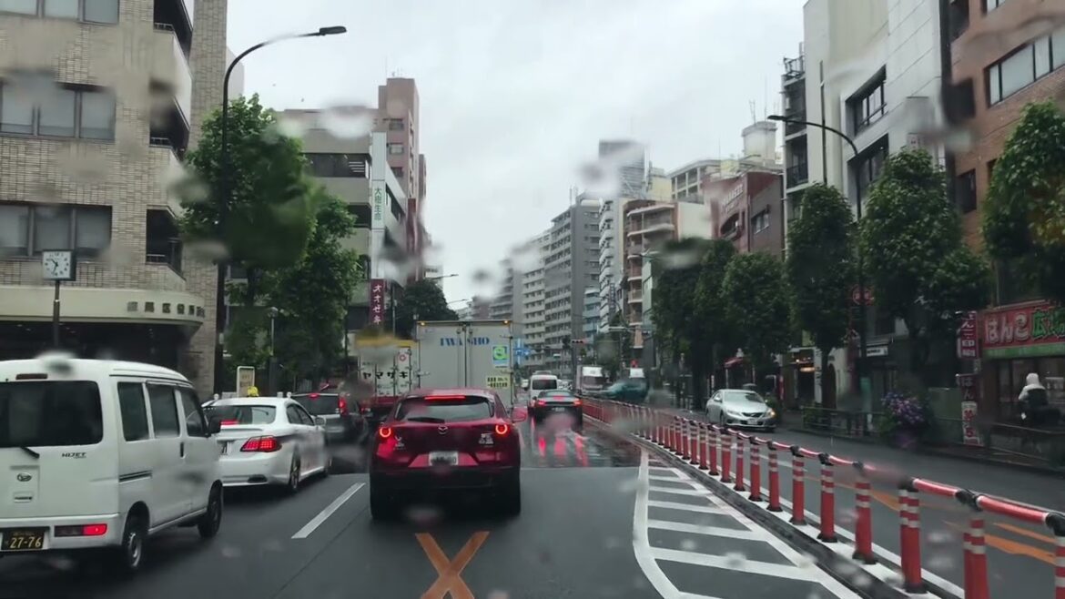 Tokyo / Japan [Road Trip] Nerima -ku Mira Shiradori