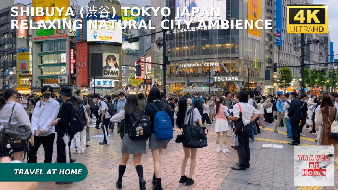 Travel to Japan with 4K HDR! Enjoy a night walk in Shibuya Tokyo | Relaxing natural city atmosphere