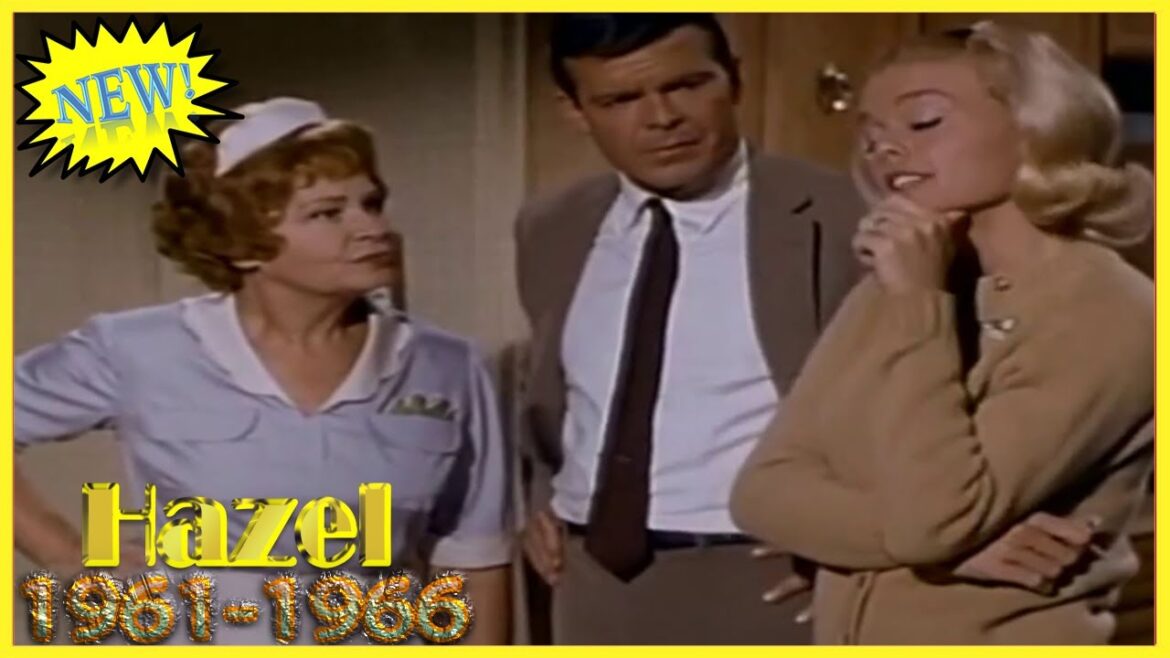 [New distribution start] Hazel 1961-1966 🎬 Dorothy goes away 🎬 Hazel Comedy American TV Full Episode